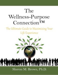 The wellness-purpose connection book cover